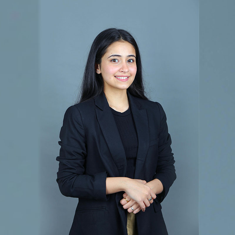 Business consultant