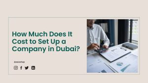 How Much Does It Cost to Set Up a Company in Dubai?