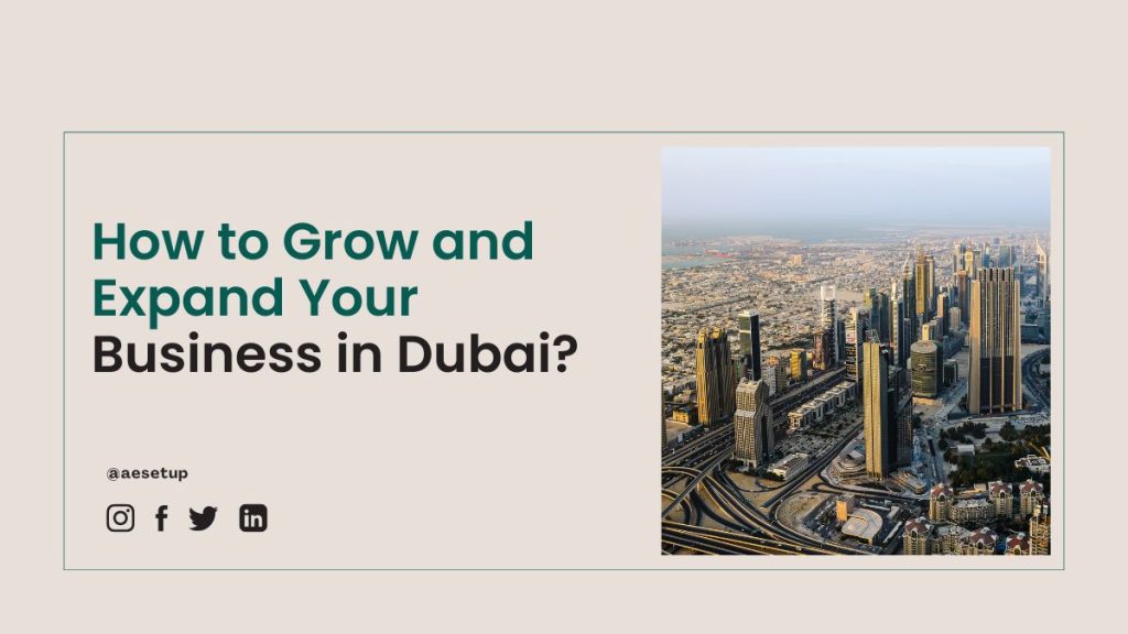 Grow and Expand Your Business in Dubai