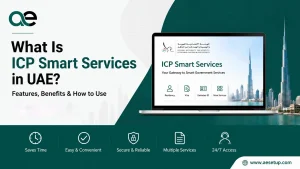 What Is ICP Smart Services in UAE?